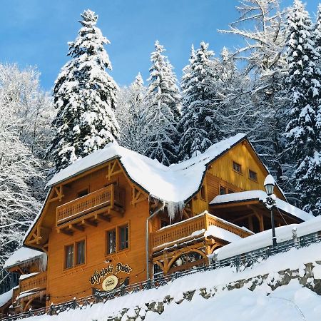 Pensjonat Alpejski Dwor เมียนซิกูแช ภายนอก รูปภาพ