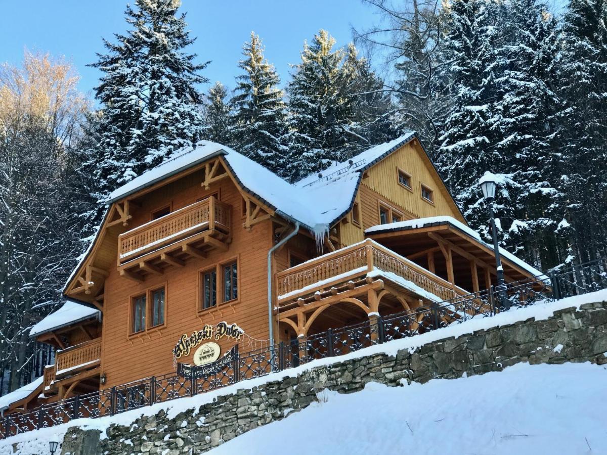 Pensjonat Alpejski Dwor เมียนซิกูแช ภายนอก รูปภาพ