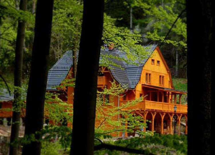 Pensjonat Alpejski Dwor เมียนซิกูแช ภายนอก รูปภาพ
