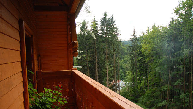 Pensjonat Alpejski Dwor เมียนซิกูแช ภายนอก รูปภาพ