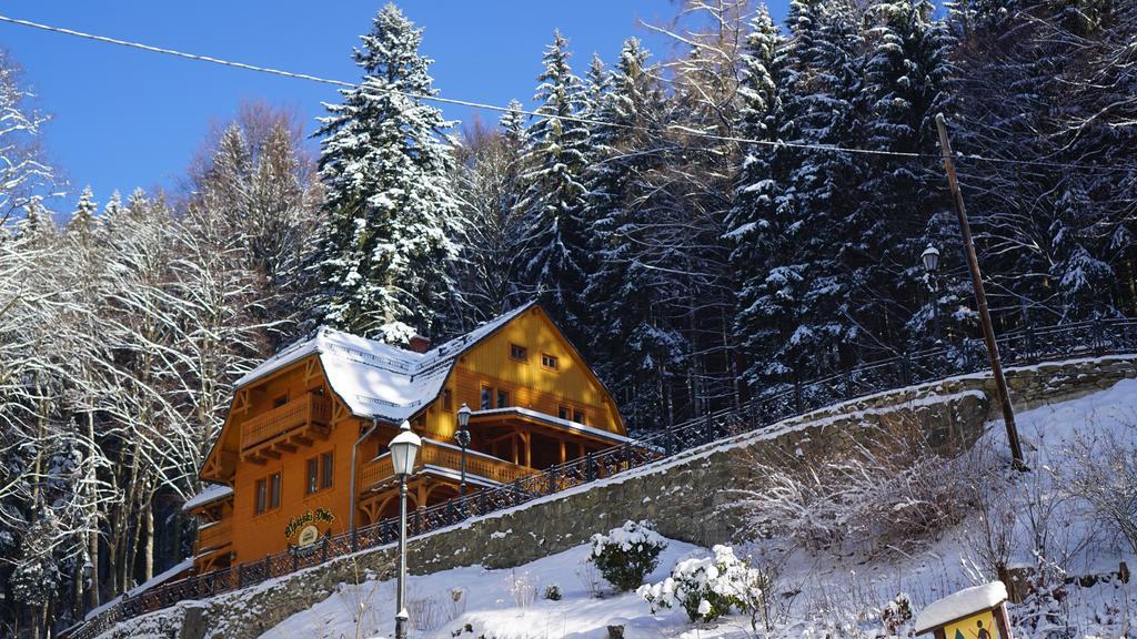 Pensjonat Alpejski Dwor เมียนซิกูแช ภายนอก รูปภาพ