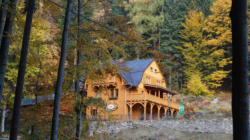 Pensjonat Alpejski Dwor เมียนซิกูแช ภายนอก รูปภาพ