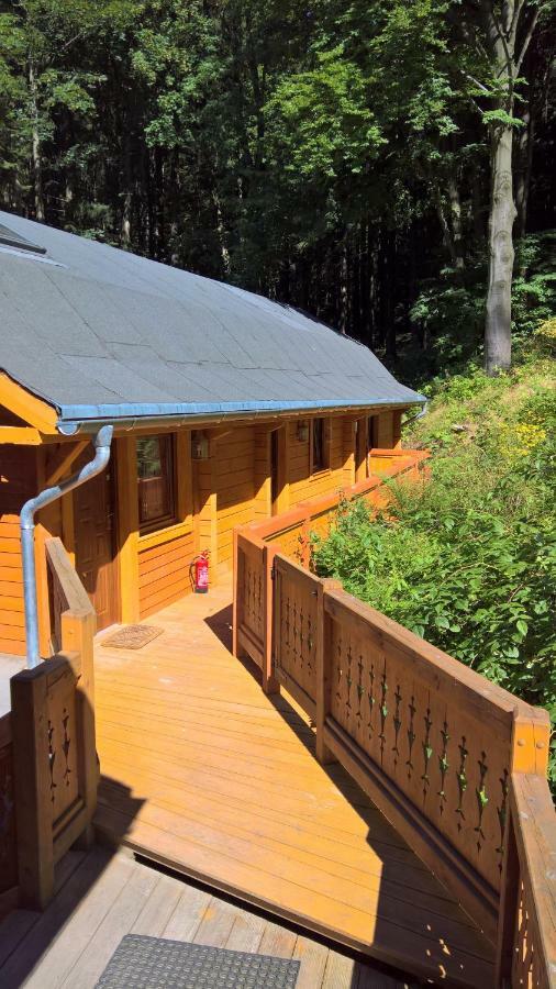 Pensjonat Alpejski Dwor เมียนซิกูแช ภายนอก รูปภาพ